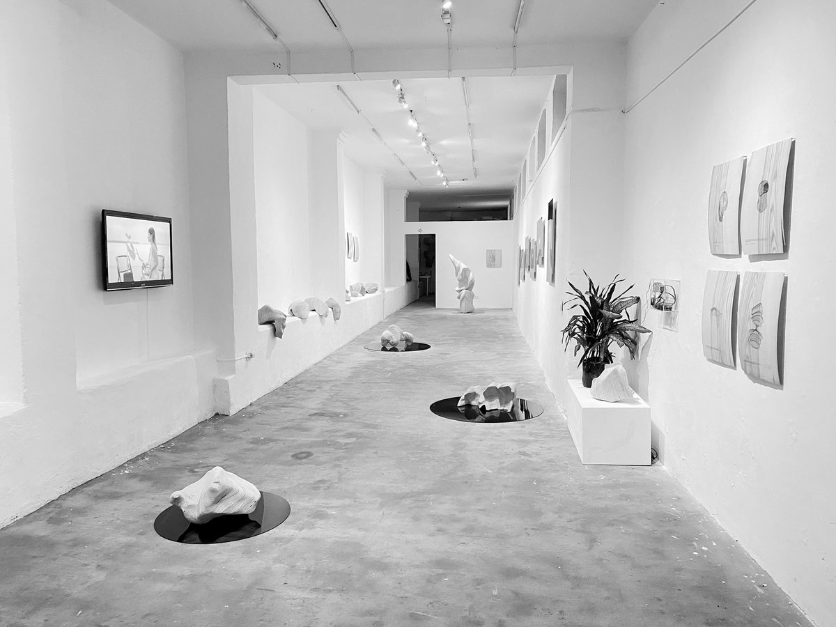 Noetic de Dia Muñoz / abrimos hoy hasta las 20h, come visit