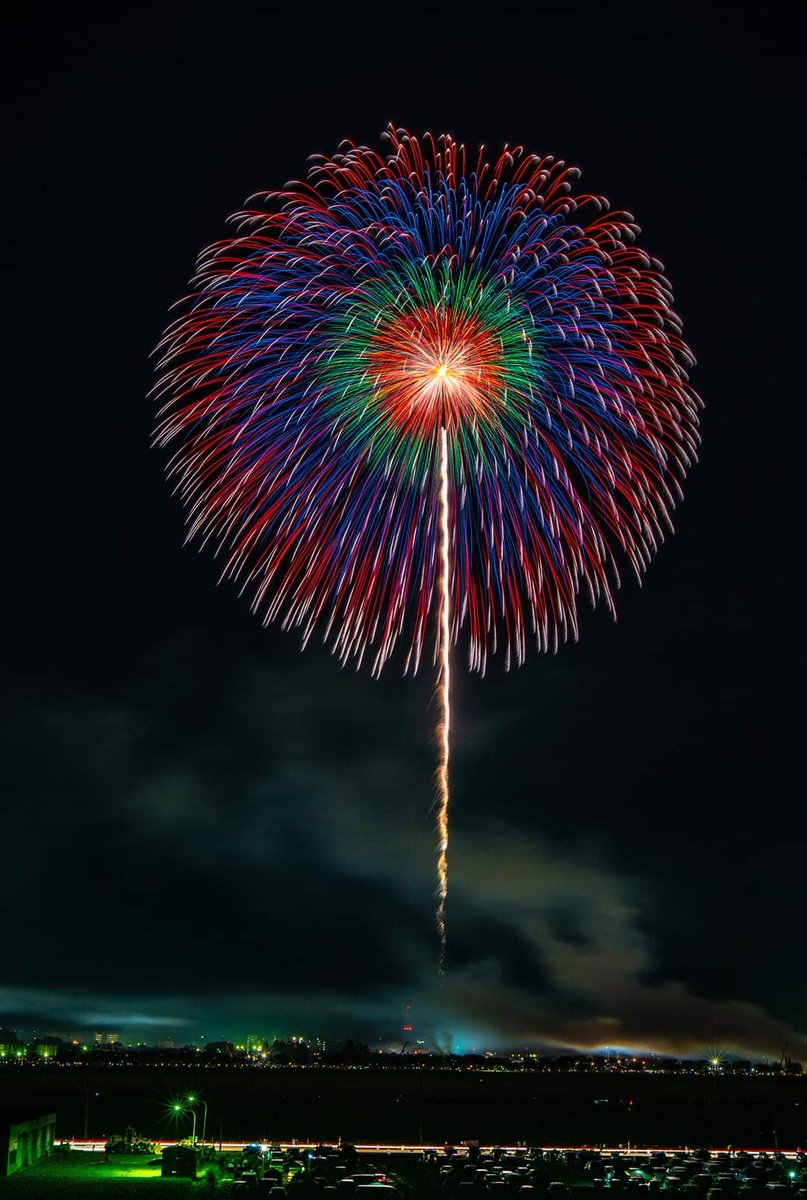 WinklePyro's tweet image. Another beautiful shell