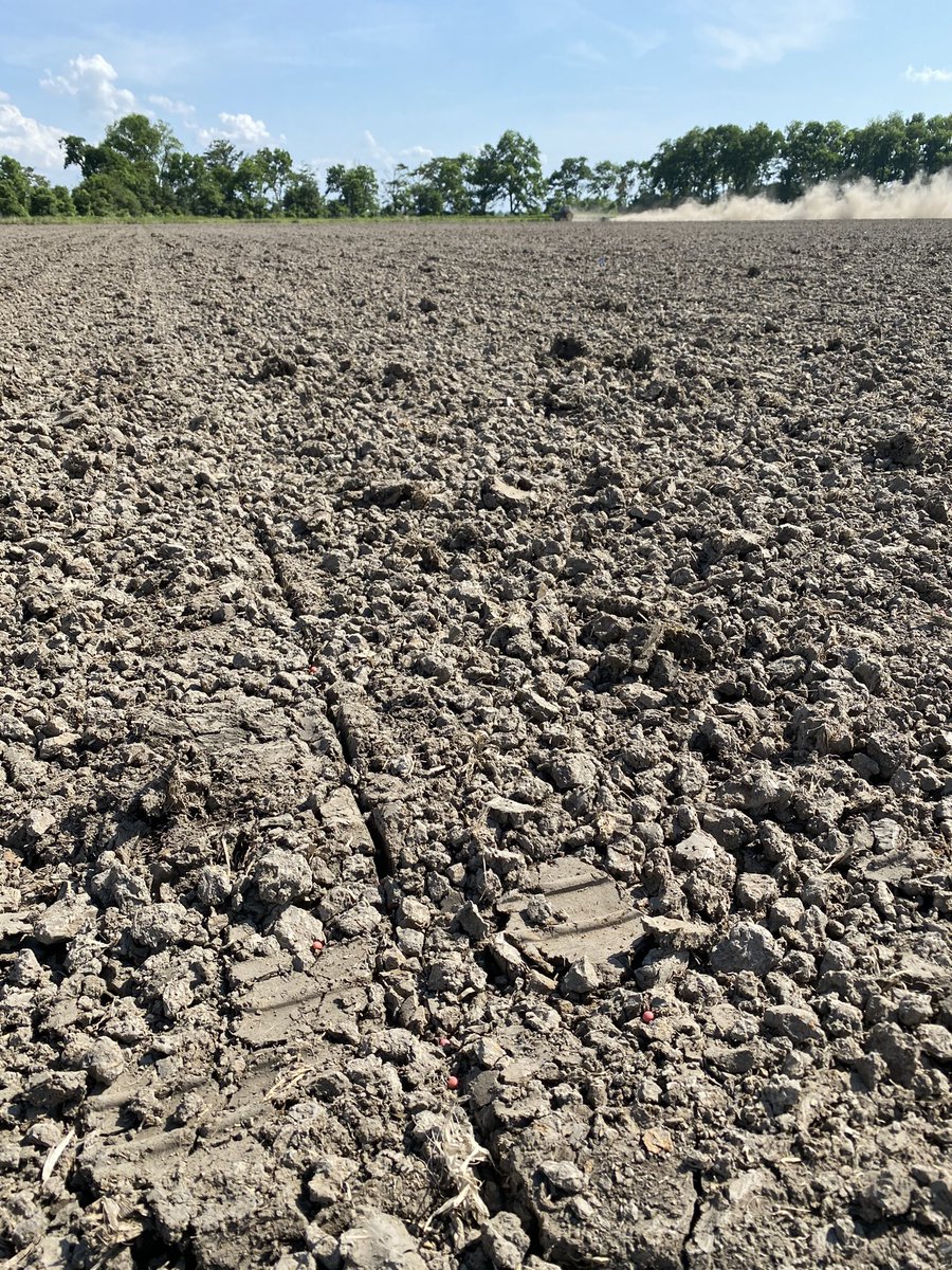 Anybody else have to run a harrow over your planted soybeans to cover them up? Yes we had planter press wheel set on strongest setting plus planter was level. (Fields still gummy)