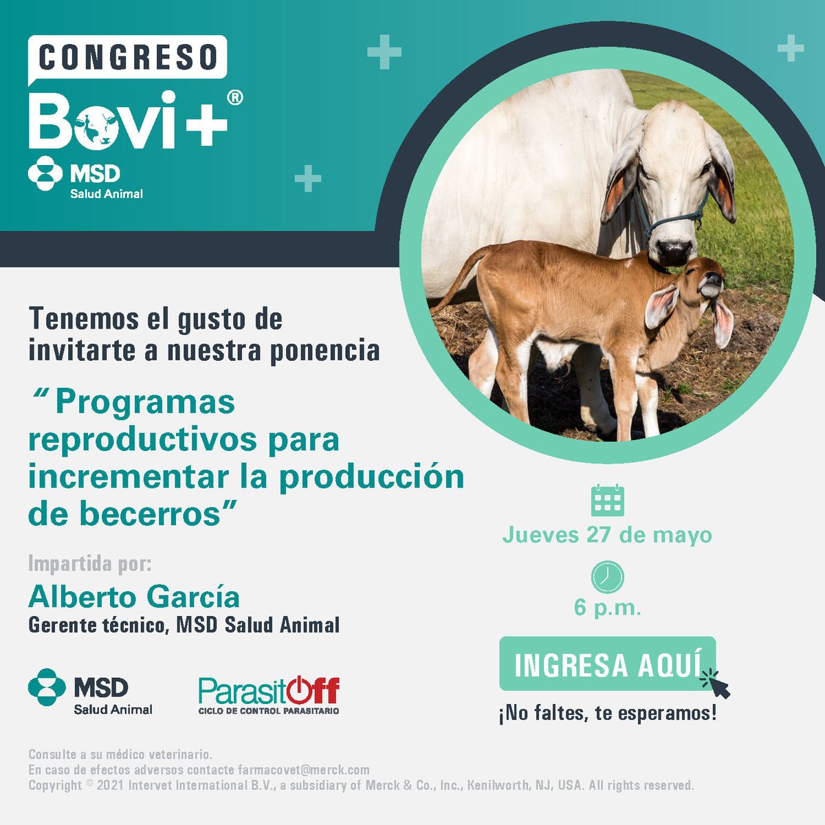 NwPeninsula's tweet photo. Puedes ingresar a la ponencia desde aquí: https://t.co/bIqHPaLkVc https://t.co/zre33nSQlc