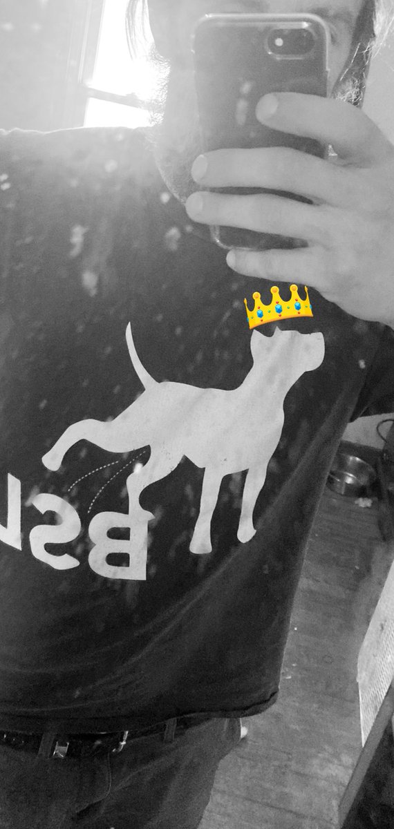 reallyampipp's tweet image. All dogs want to be good dogs. Let’s end breed specific legislations.