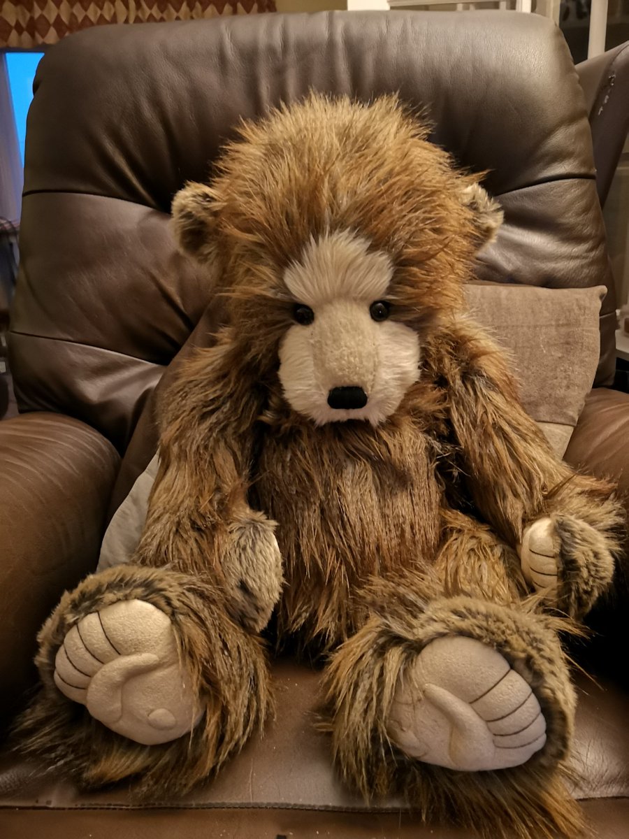 SpacedCadet1978's tweet photo. @miceal @qvc Chunky sat watching attentively for new hug members https://t.co/Gyh7tqU5H3