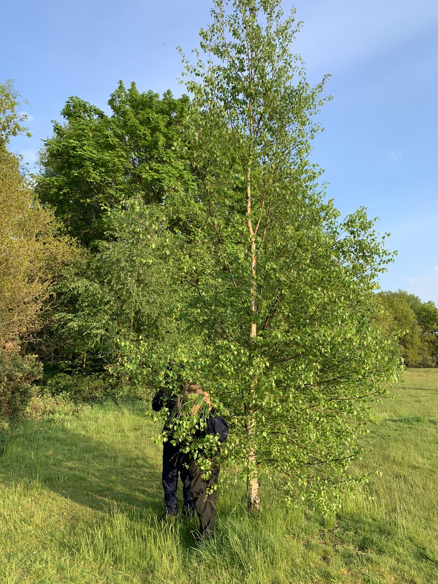 Portland House - Worksop College tweet media