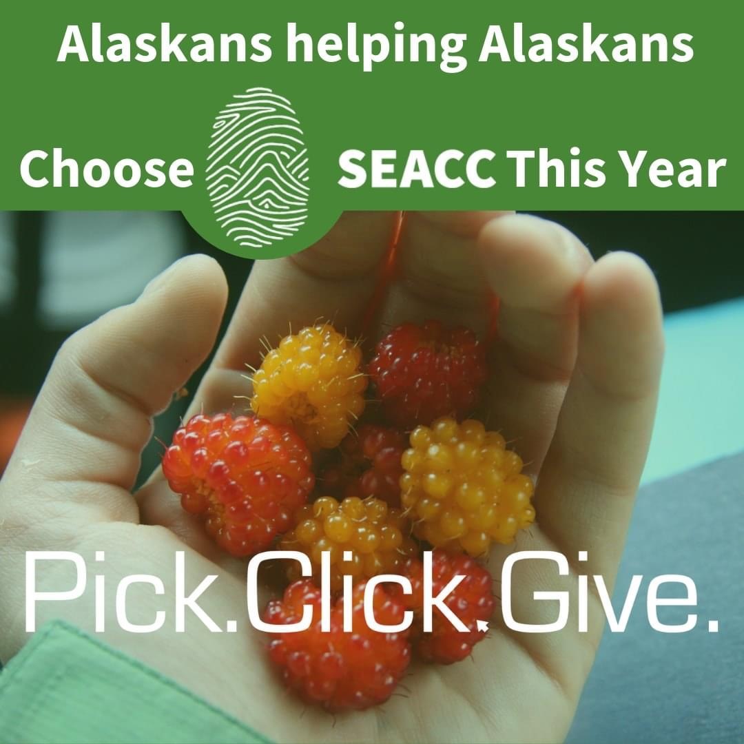 We're #thankful this #thursday for Southeast Alaska Conservation Council and their hard work educating about and protecting the #tongassnationalforest 

#akcommunity #pcg #pfd #givingback #community #alaska