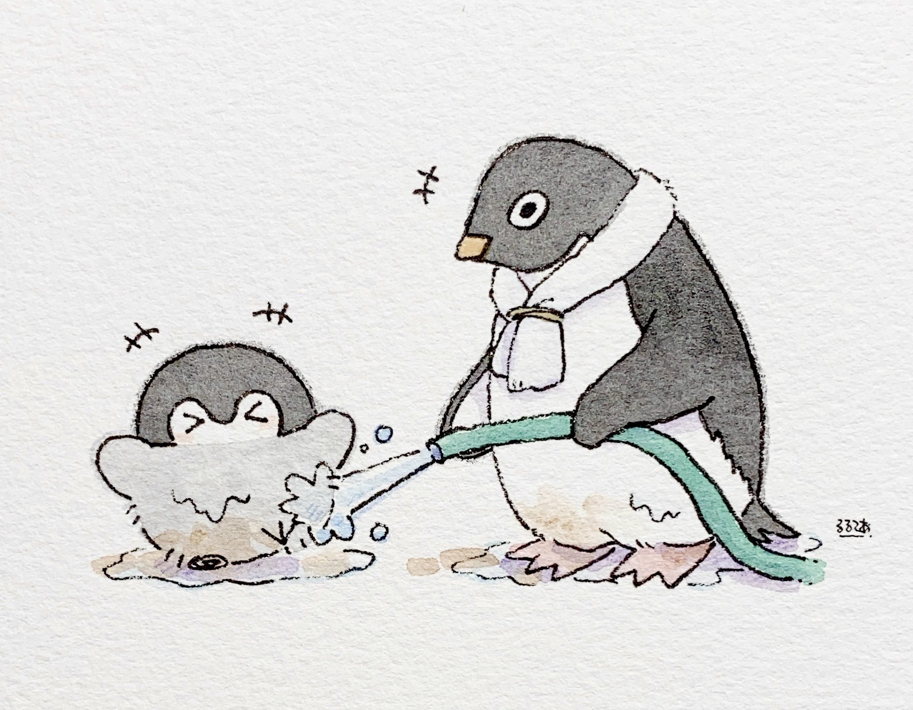 るるてあ 田植え ひと段落