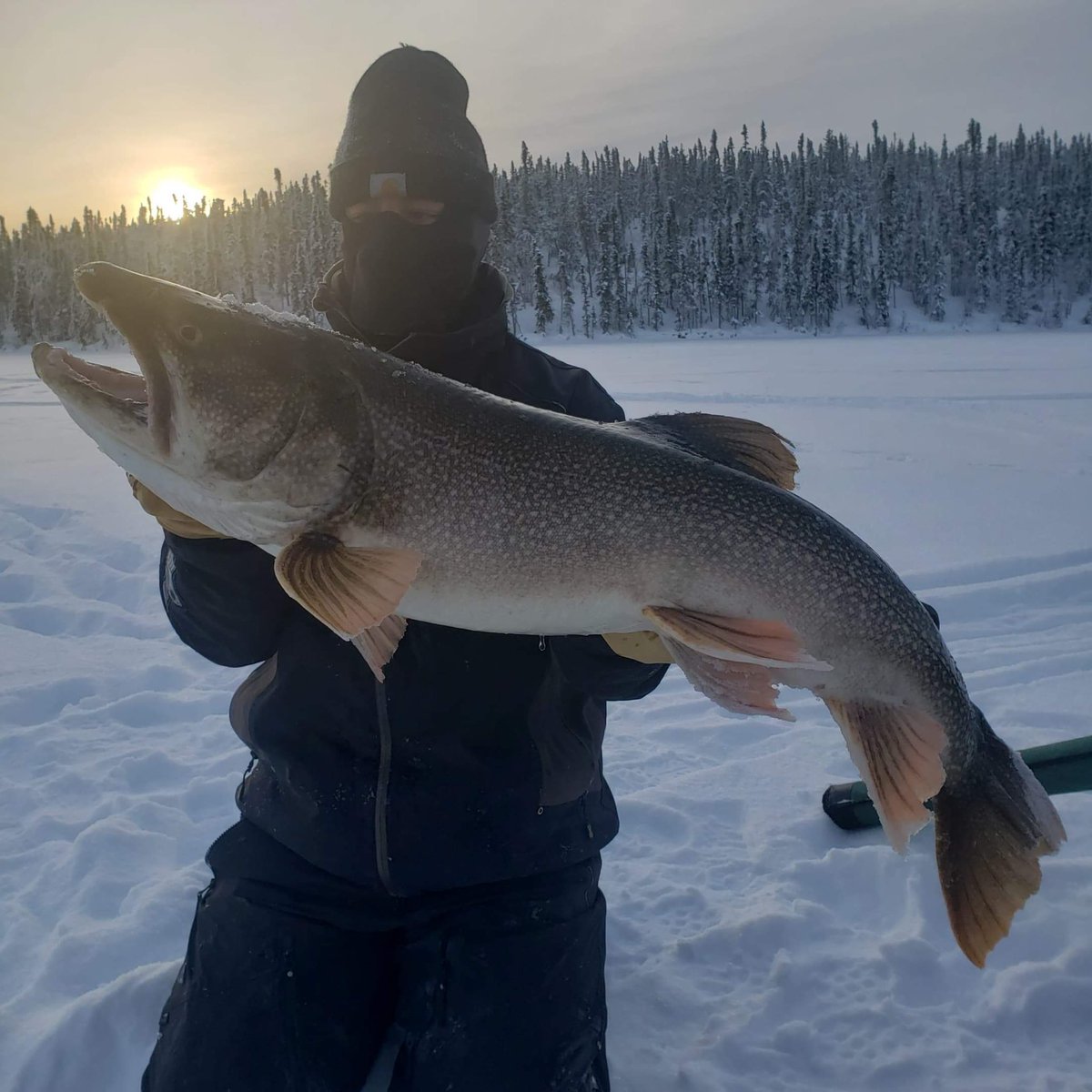 Shyt Show Fishing tweet media