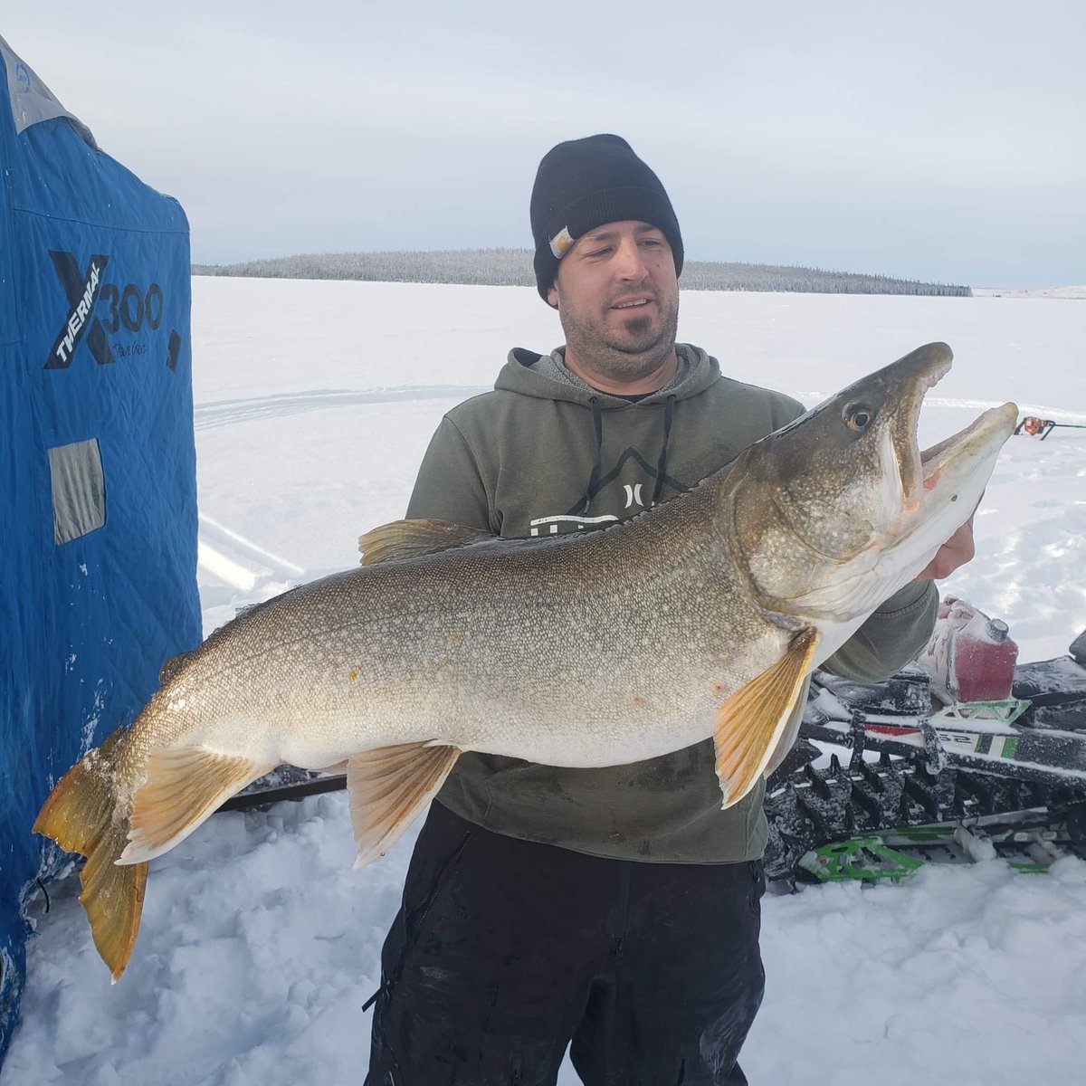 Shyt Show Fishing tweet media