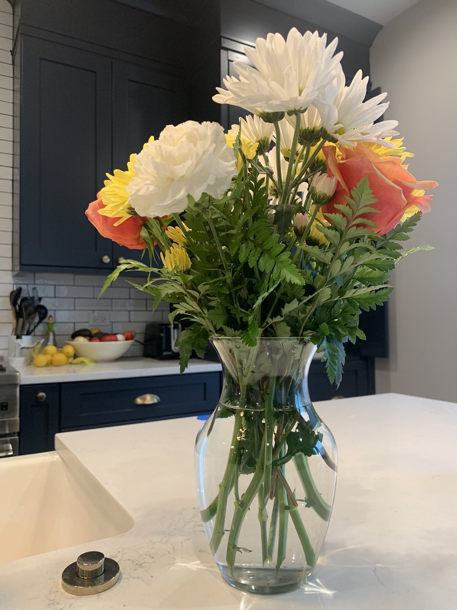 brandonfrein's tweet photo. Random acts of kindness should not go unnoticed. A very sincere thank you to @Chewy, who sent these beauties in memory of my dear Coco. https://t.co/FnTMCiiryJ
