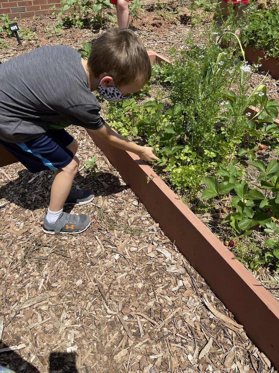 Weltens2ndGrade tweet media