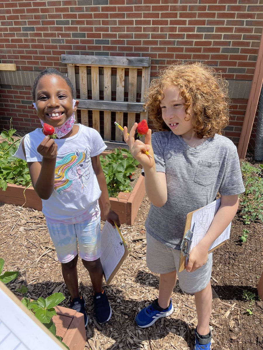 Weltens2ndGrade tweet media