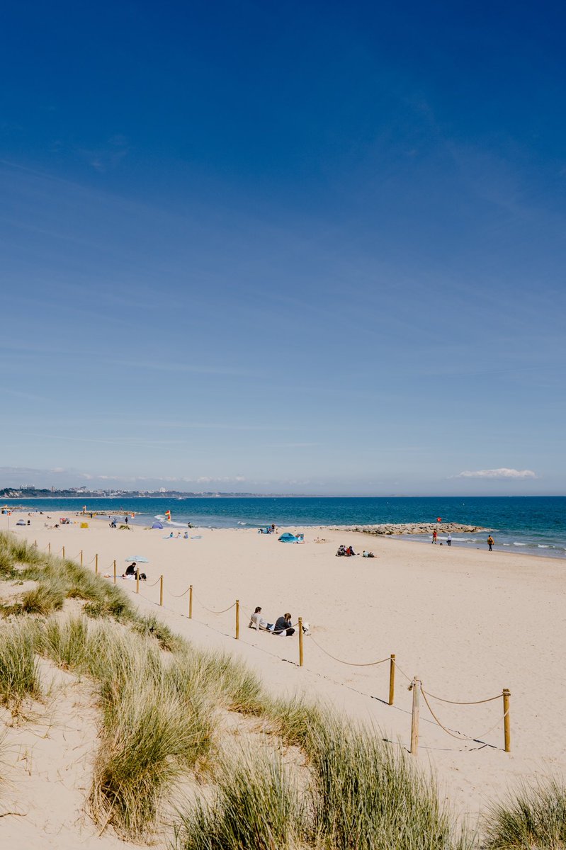 andreoloa's tweet image. Lunch break