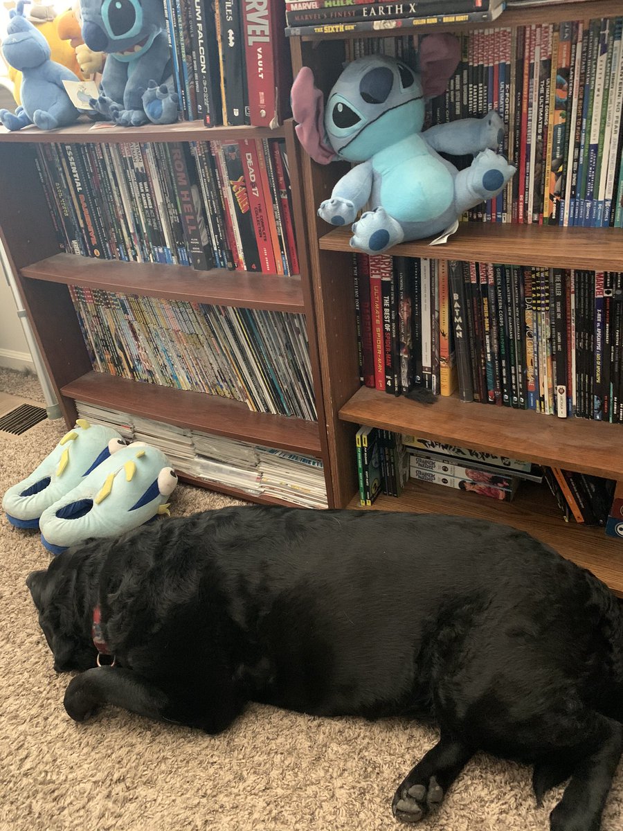 theguruofcomics's tweet image. Some days the soul wants to conquer the world but the flesh &amp;amp; bones body needs to power nap first....luckily for me, on those days I have the best napping partners in the ‘verse 😁
#achingbones #worldweary #powernap #animalBFFs #wedontdeserveanimals #Imaluckydude