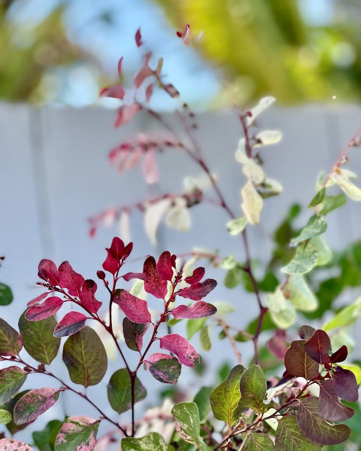 katlgreen's tweet photo. 🌿🌷𝘗𝘳𝘢𝘤𝘵𝘪𝘤𝘦 𝙗𝙚𝙞𝙣𝙜 𝘢𝘯𝘥 𝘺𝘰𝘶 𝘸𝘪𝘭𝘭 𝘧𝘪𝘯𝘥 𝘳𝘦𝘴𝘰𝘯𝘢𝘯𝘤𝘦 𝘪𝘯 𝙖𝙡𝙡 𝘵𝘩𝘪𝘯𝘨𝘴…

New post 👉🏼 https://t.co/Ua9uYFVHaE

#nature #poem #meditation #walk #thoughts #beherenow #meditate #god #poetry #presence #truth https://t.co/k1pooiPFc3