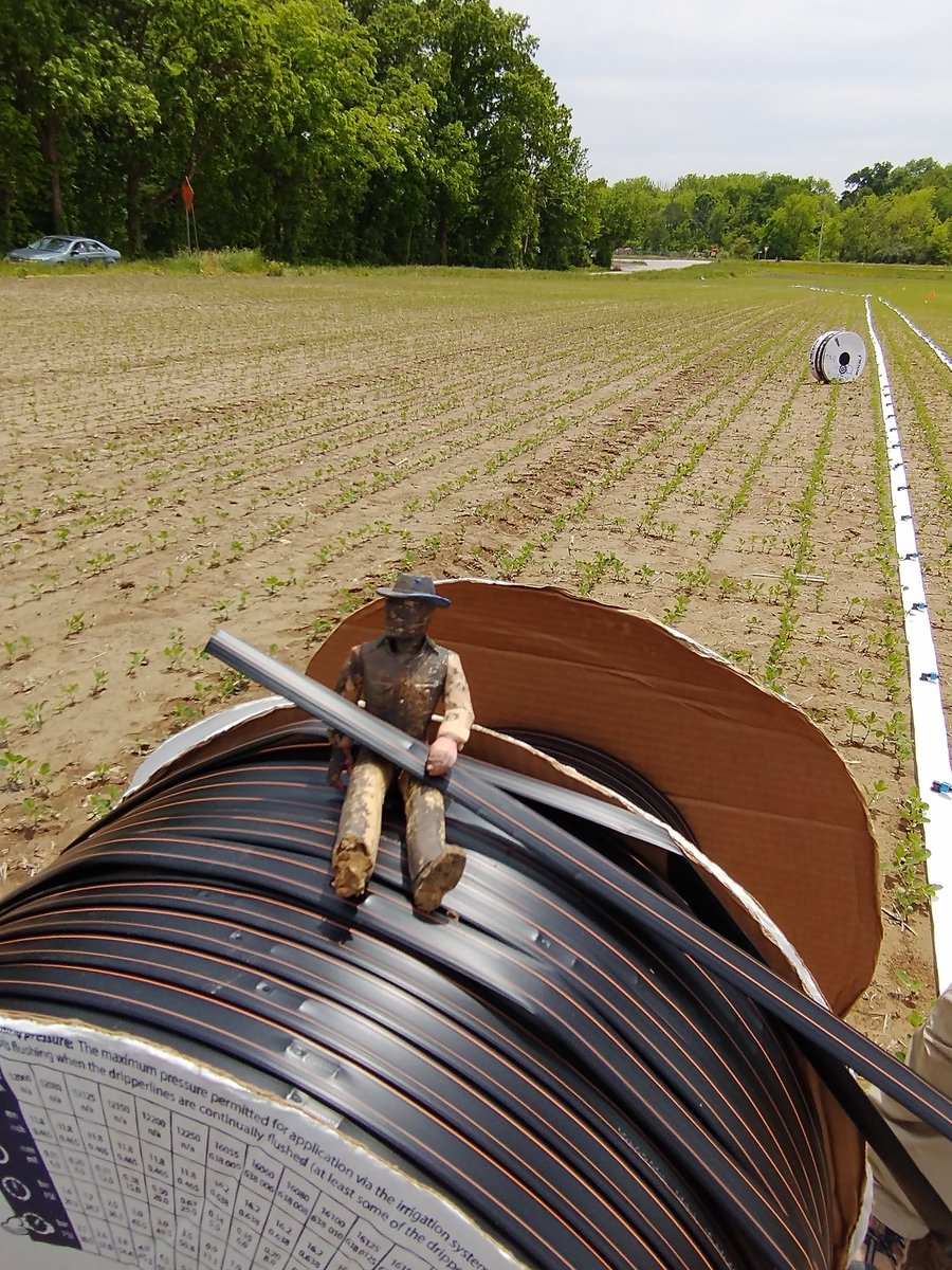 KatyMazer's tweet photo. Pete Bog, the #WetlandCowboy, supervised the installation of irrigation dripline for the drainage water recycling system at @PurdueAgronomy ACRE. Not quite finished, but the rain wanted to show us just how watering soybeans should look. #DWR #Soybeans https://t.co/pZbonidD4e