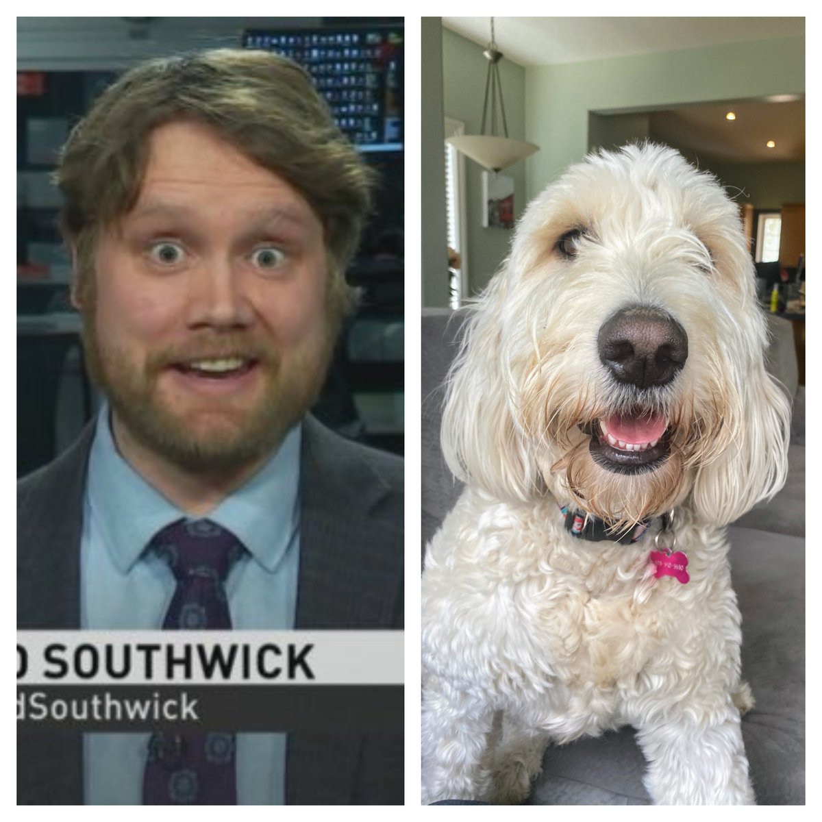 <a href="/Adrienne_Pan/">Adrienne Pan</a> <a href="/CBCRadioActive/">CBC Radio Active</a>