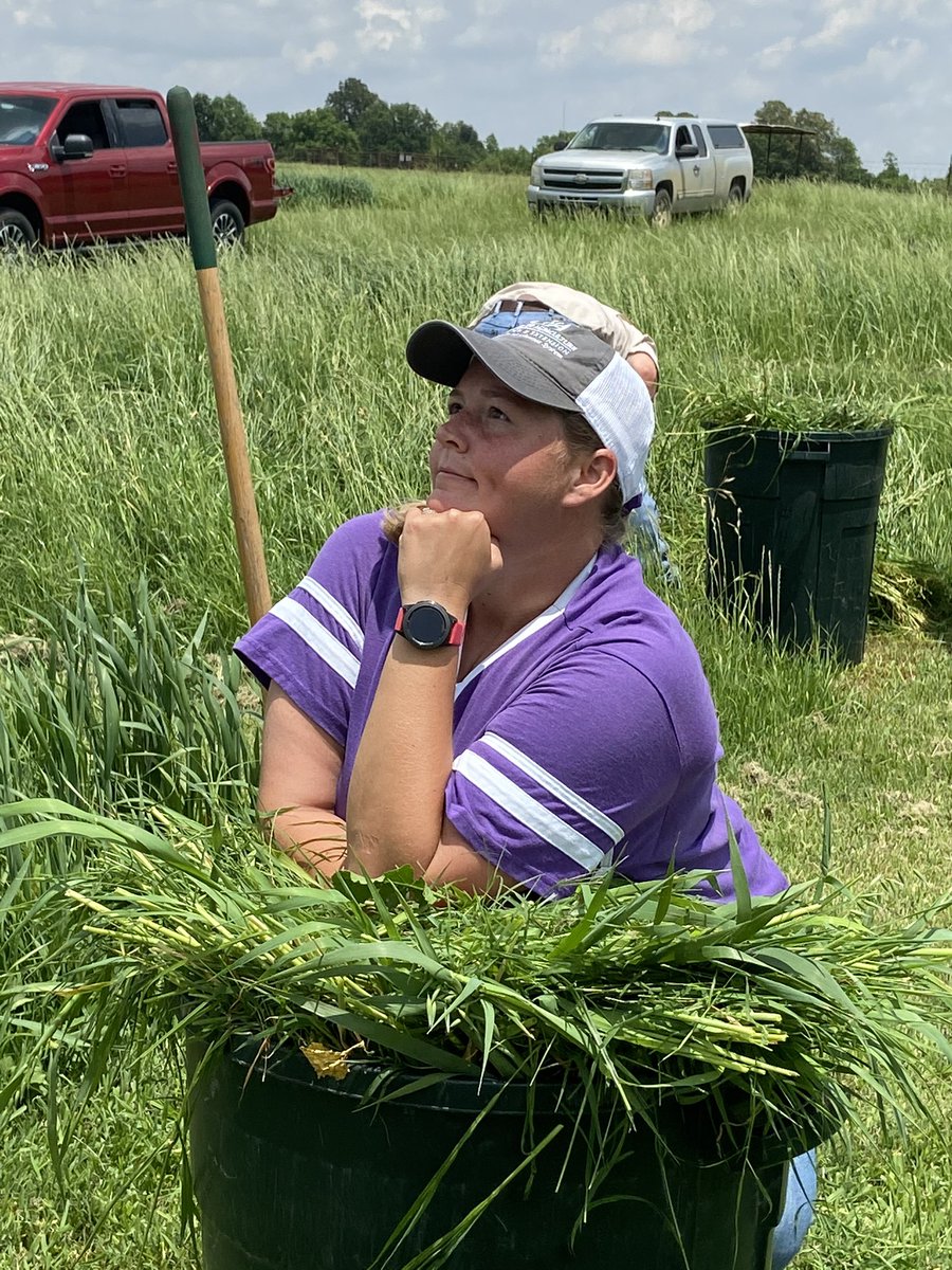 sisk_wall's tweet photo. @uaexclaypiggott @jacksonctyuaex @AgWriterArk @Jworks17 Hands down best pic!! https://t.co/FqafLEI4p0