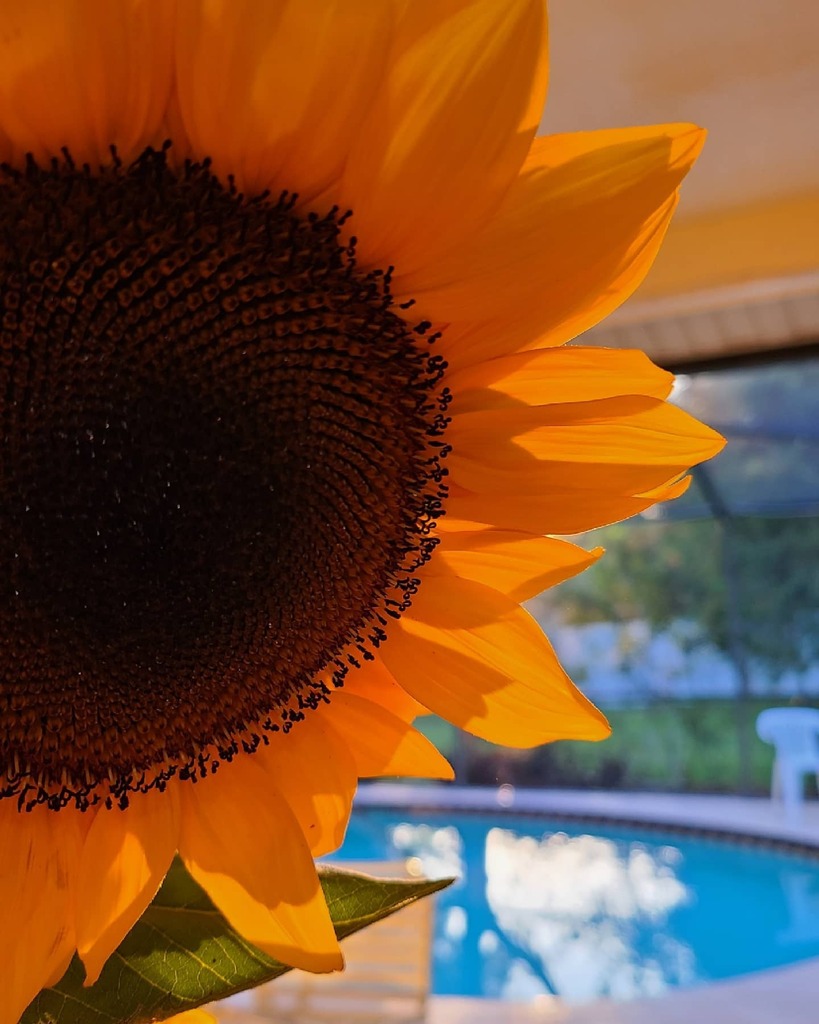 "The thing that is really hard, and also is really amazing, is giving up on being perfect, and beginning the work of becoming yourself." 

I'm sorry I haven't posted in a while. I wanted to venture out and see if I can get more content instead of the sam… instagr.am/p/CPZCcraFdkL/