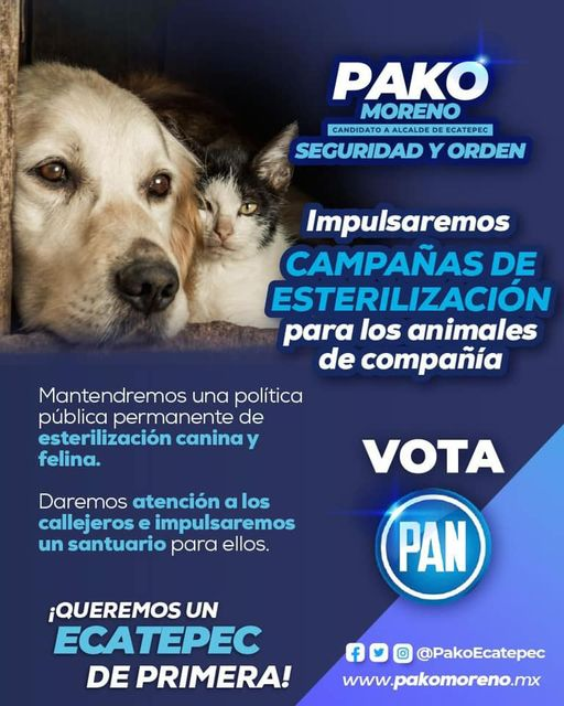 EcatepecPako's tweet photo. Los animales de compañía son parte de la familia, por eso cuidémoslos responsablemente. Durante mi gobierno impulsaremos campañas de #esterilizacion para 🐶 y 🐱, tanto para los que tienen hogar como para los que viven en la calle. 
#Ecatepec #PakoMoreno #porunecatepecdeprimera https://t.co/xCBYvKZaUr