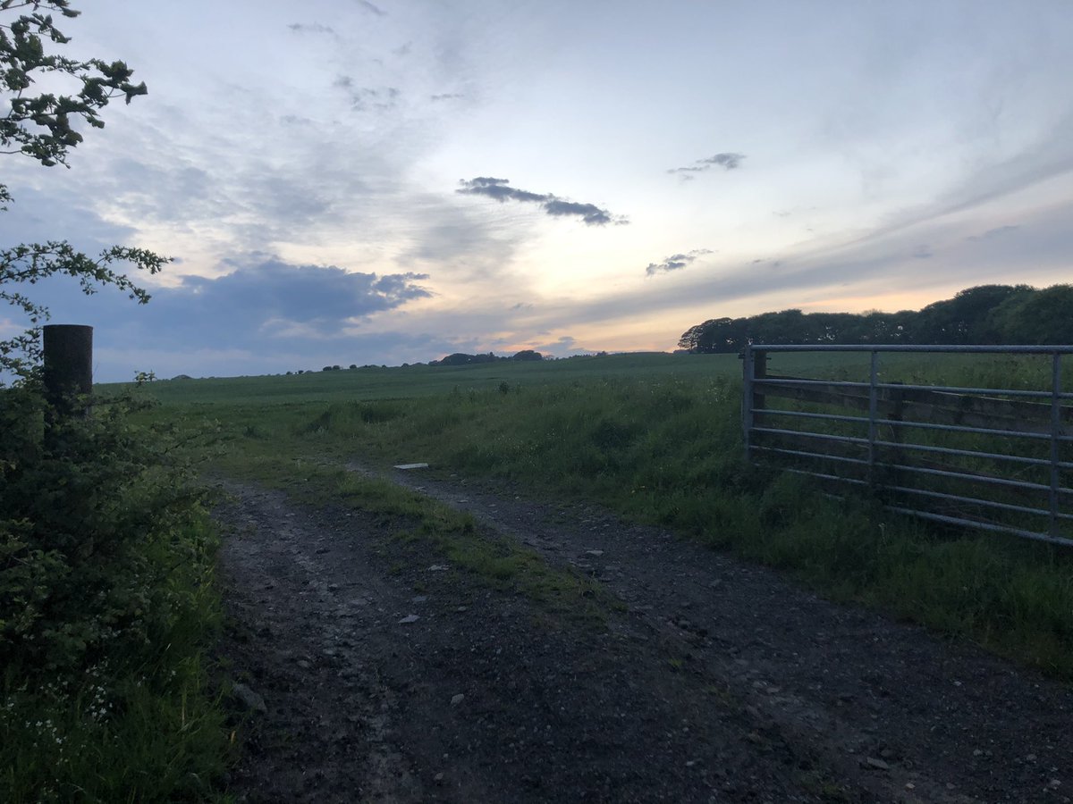 Things getting back to normal and three more days out seeing clients back on patrol tomorrow night but time for a run 🏃‍♂️