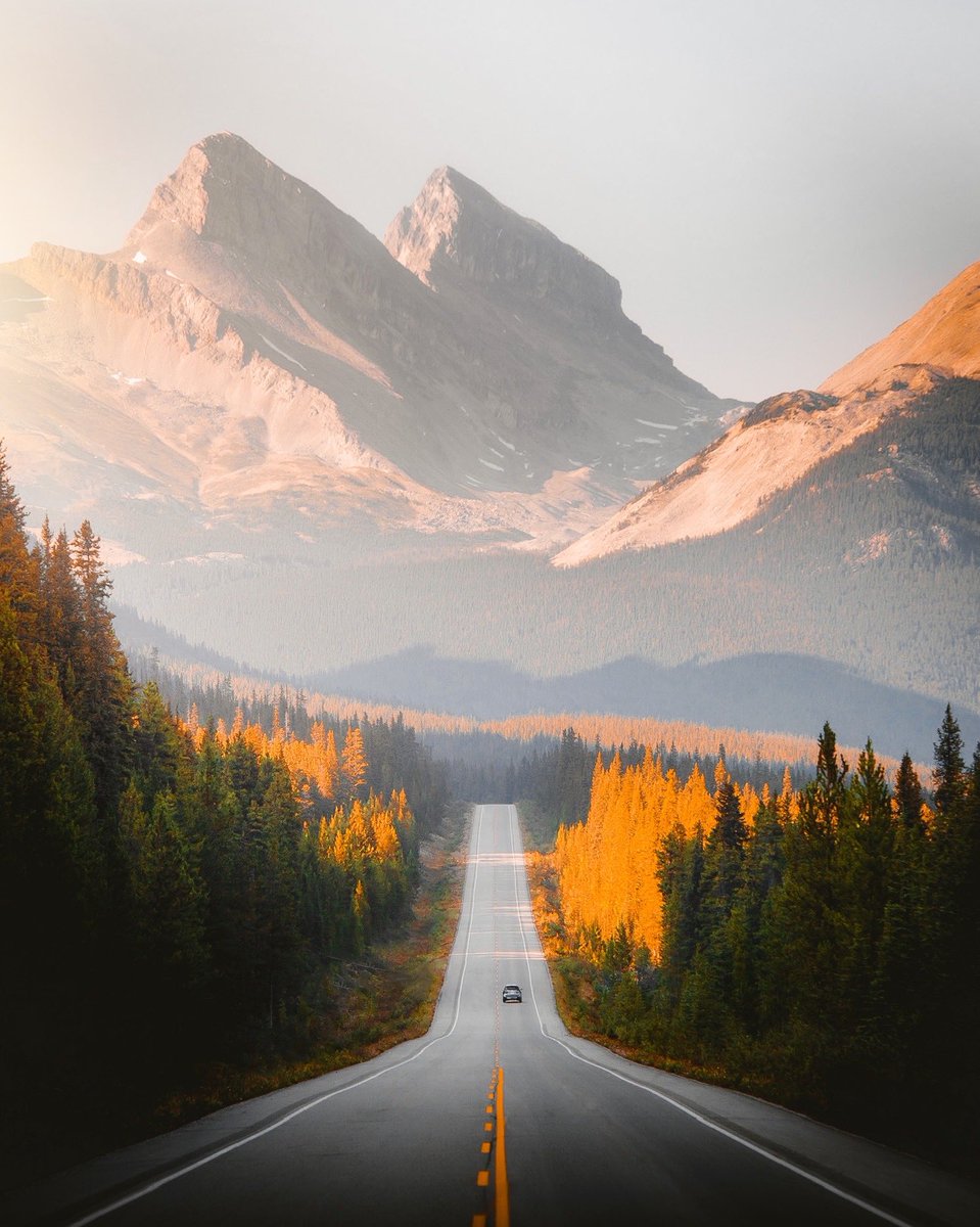 jguzmannnn's tweet photo. Summer drives in Alberta 🌲 https://t.co/Nj36RCeRPQ