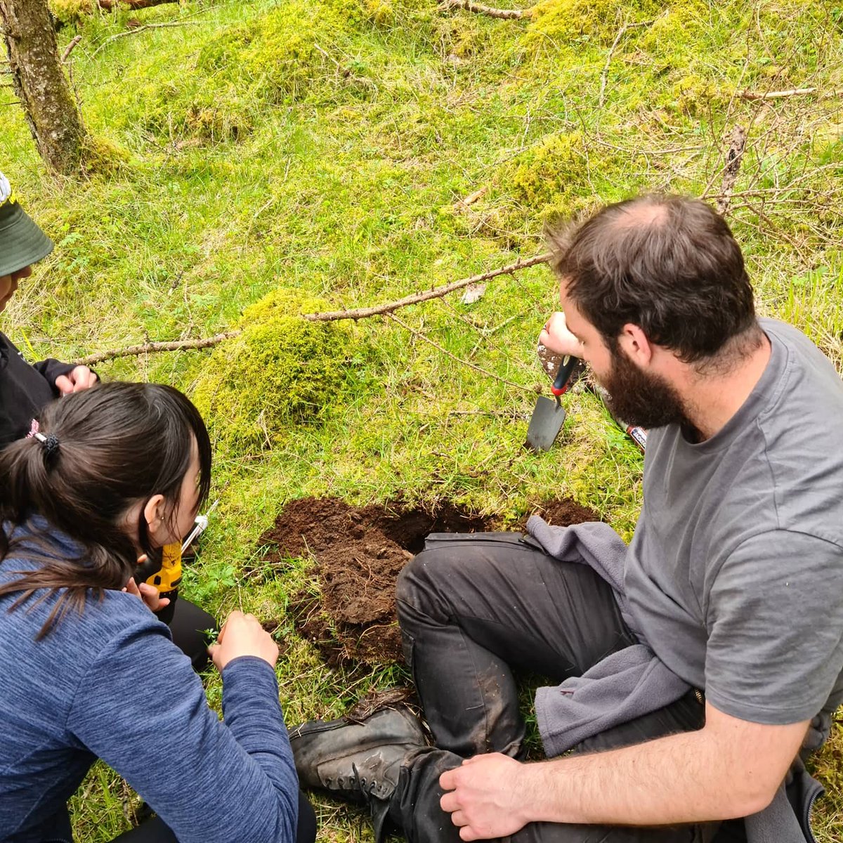 BECoS-MDX tweet media