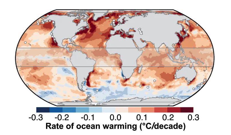 Farallon_Inst's tweet photo. New research from Farallon Institute and numerous collaborators - declining seabird breeding success corresponds to hemispheric asymmetry in ocean warming https://t.co/CYuXHUUvYr https://t.co/uR9a9iJx1K