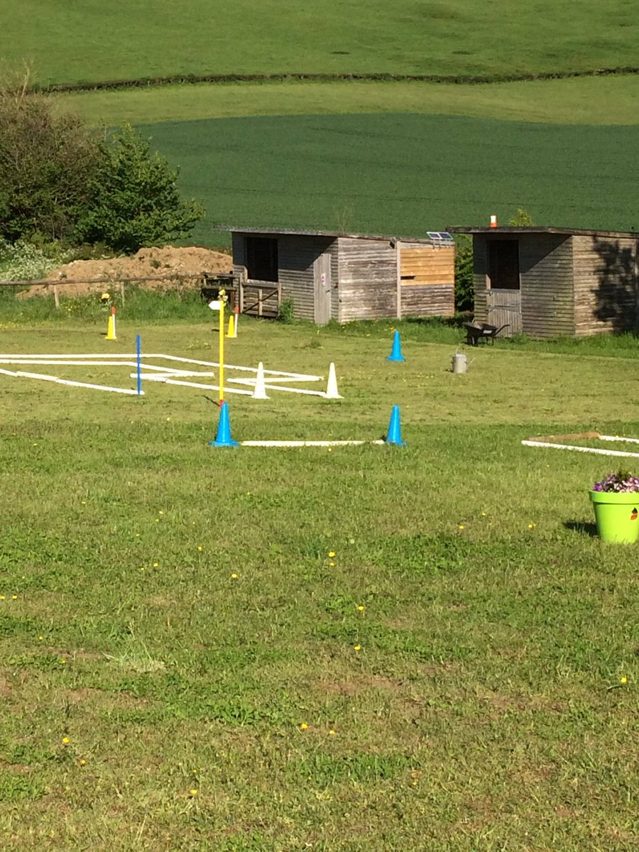 WellowRDA tweet media