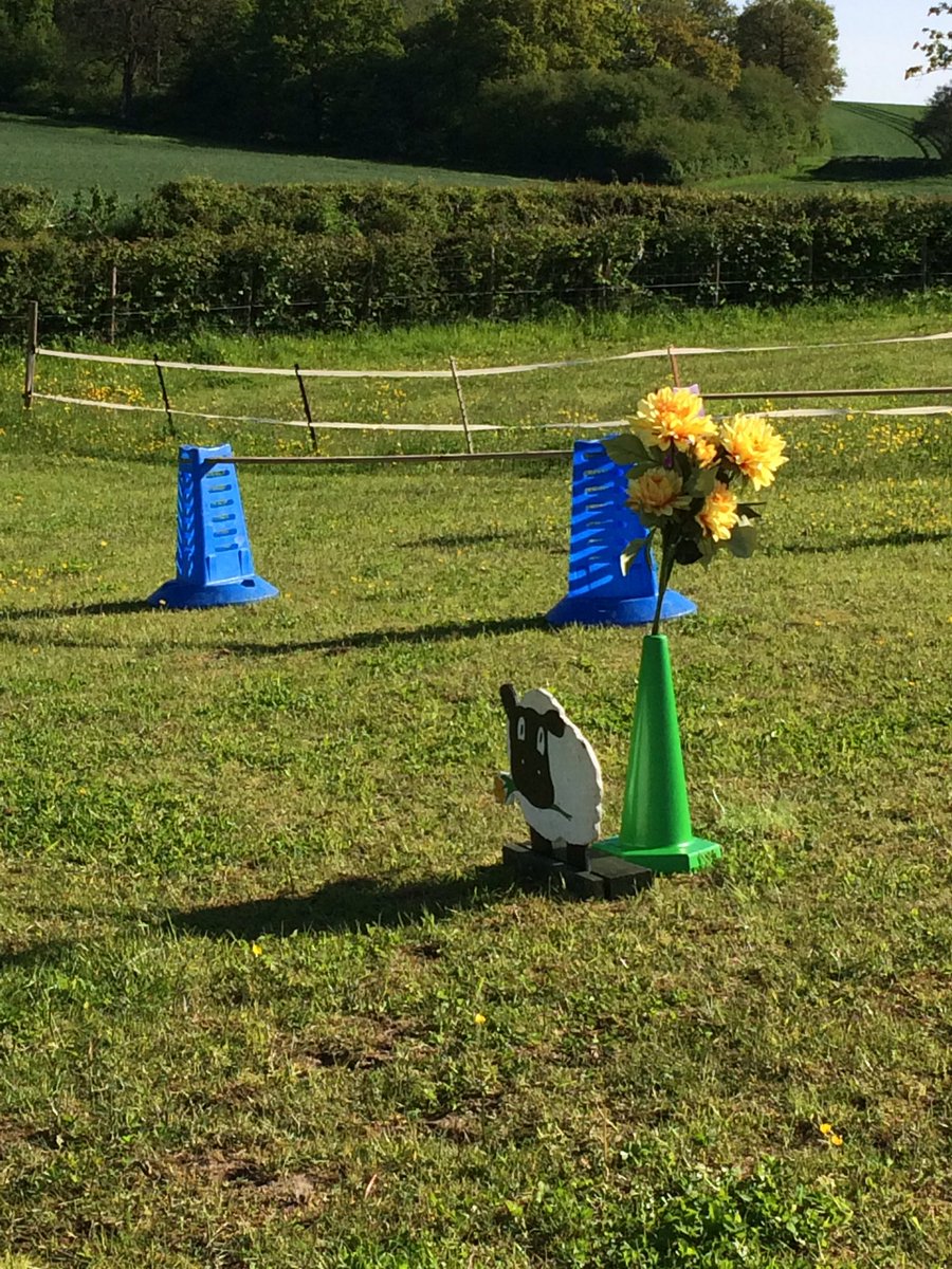 WellowRDA tweet media