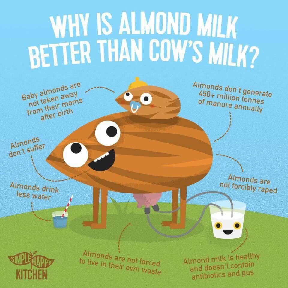 veganfuture's tweet photo. Why almond milk is better than cow's milk https://t.co/IVXh1Z7936