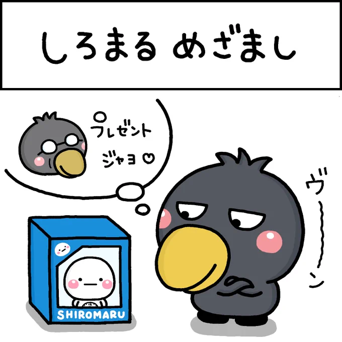 しろまる めざまし 