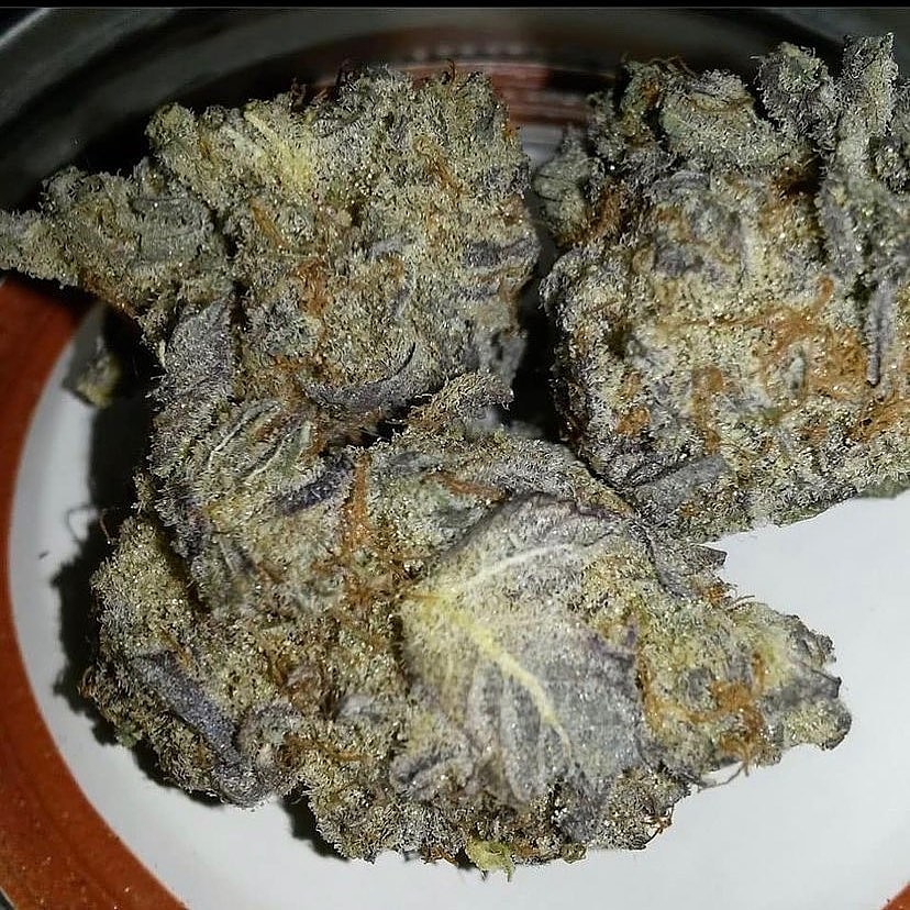 Kushplug14 tweet picture