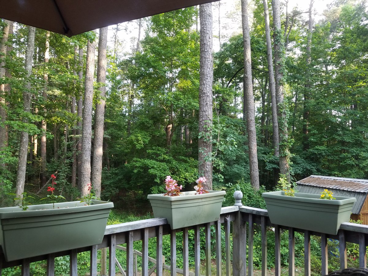 Jennifer Archambault, PhD tweet media