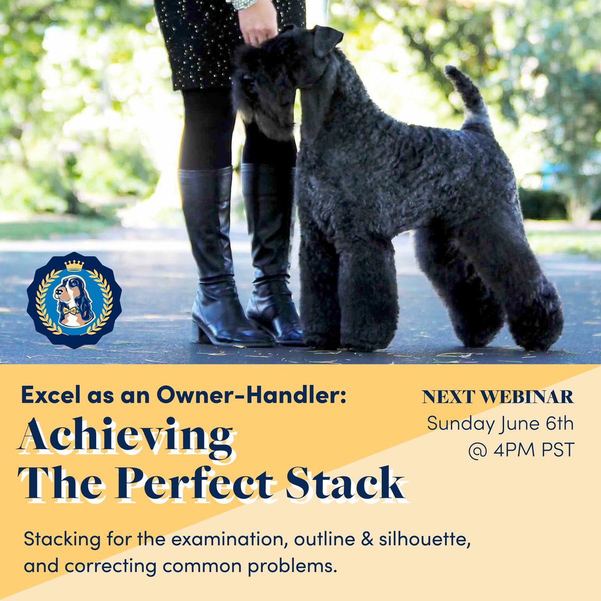 leadingedgedogs's tweet image. New webinar! Improve your stacking technique with “Excel as an Owner-Handler: Achieving the Perfect Stack”. Tune in on Sunday, June 6th @ 4PM PST 👉 leadingedgedogshowacademy.com/p/excel-owner-…