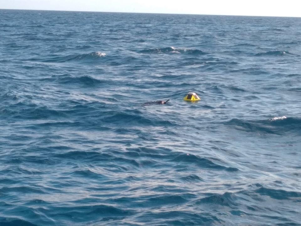 spc_live's tweet photo. #Kiribati Met Service deploys its first wave buoy and shares its experiences of this new ocean observation instrument and the partnership with Fisheries colleagues to implement it.

5th Pacific Islands Workshop on Ocean Observations and Data Applications.

📸🇰🇮 Met Service https://t.co/HGXNAg1yxq