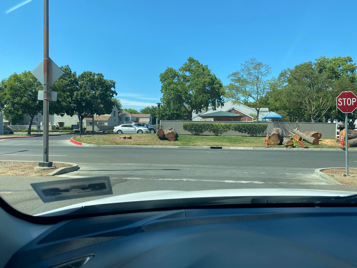 Shawn Christensen 🏳️‍⚧️ tweet media