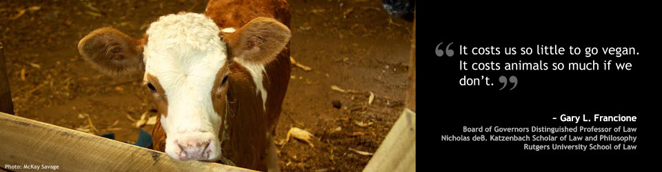 veganfuture's tweet photo. 'It costs us so little to go vegan. It costs animals so much if we don't' - Gary Francione. https://t.co/wX417pbdG8