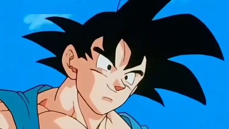 Goku Portrait Skin