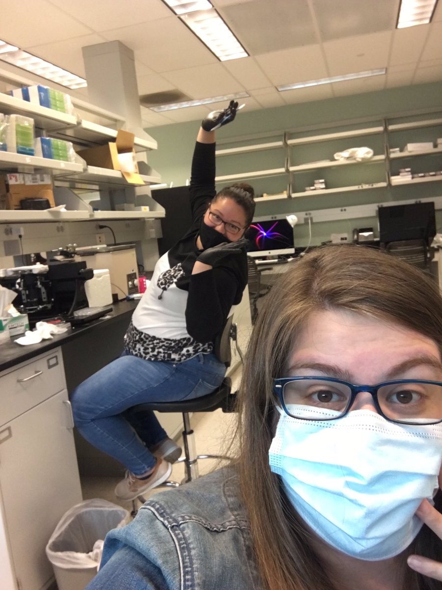 Natcki17's tweet photo. When you’re trying to quietly plan out your IHC but your labmate starts screaming in excitement over #FriendsTheReunion #womeninstem #womeninneuro @Women_inNeuro #phdchat #phdlife @LabPoulos https://t.co/RUpZU0DF09