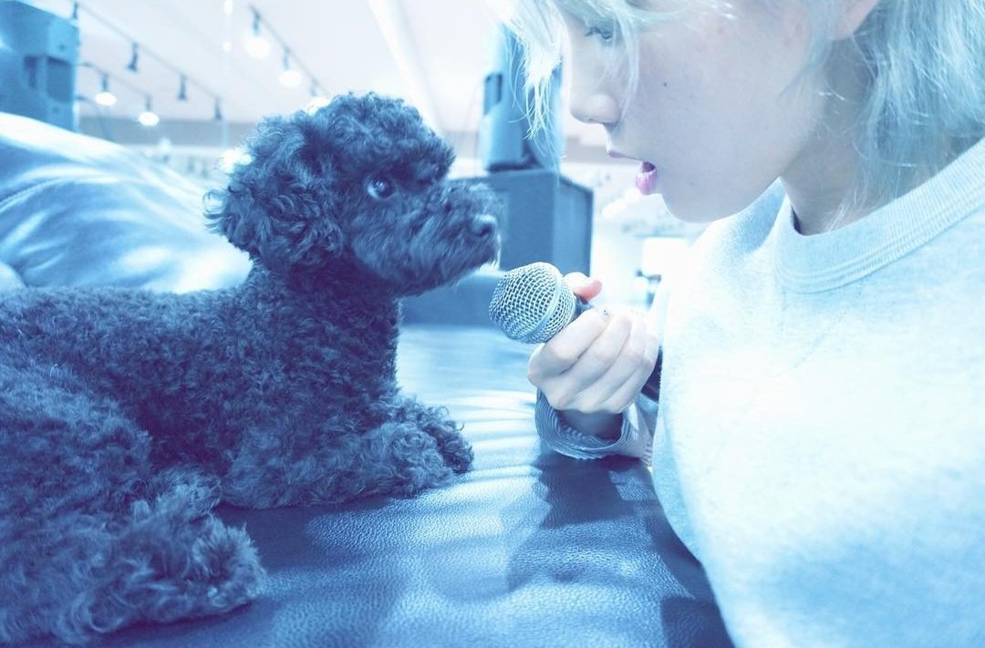 twcharm's tweet photo. ·ㅤ¡ㅤ 𝕤ㅤ __ㅤ trᥱɑmㅤ ❜ㅤ p̅lㅤ 💿 .ㅤ ɑyㅤ ノ ּ࣪ㅤ lıs ㅤど.ㅤ 𝐭.
Llegó el momento de unirme al #TWINXCoasterStream y decirles que #KNOCKonmyheart ahora forma parte de mi playlist de canciones favoritas ¿Qué esperan para escuchar a las haditas más bonitas? https://t.co/ryJIAMvzZF