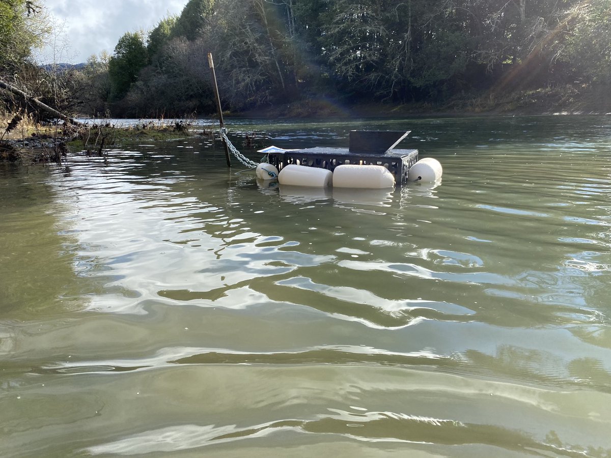 Oregon Department of Fish and Wildlife (@myodfw) on Twitter photo Poachers robbed spawning fish from traps near Powers, threatening steelhead populations - <a href="/OSP_Fish/">OSP Fish & Wildlife</a> investigating, contact the TIP line with info. dfw.state.or.us/news/2021/05_M⦠Poachers robbed spawning fish from traps near Powers, threatening steelhead populations - <a href="/OSP_Fish/">OSP Fish & Wildlife</a> investigating, contact the TIP line with info. dfw.state.or.us/news/2021/05_Mā¦
