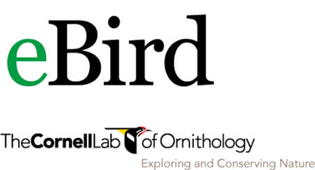 Chanda Jefferson tweet media