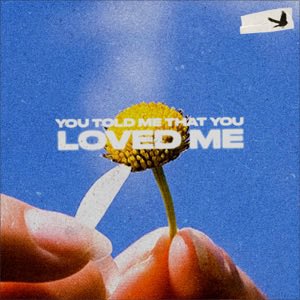 you told me that you loved me - Single by Jamie Grey. This is beautiful ⁦<a href="/JamieGreyMusic/">Jamie Grey</a>⁩ . Love this so much. This could be your best yet 🤩🔥👏🏻 music.apple.com/gb/album/you-t…