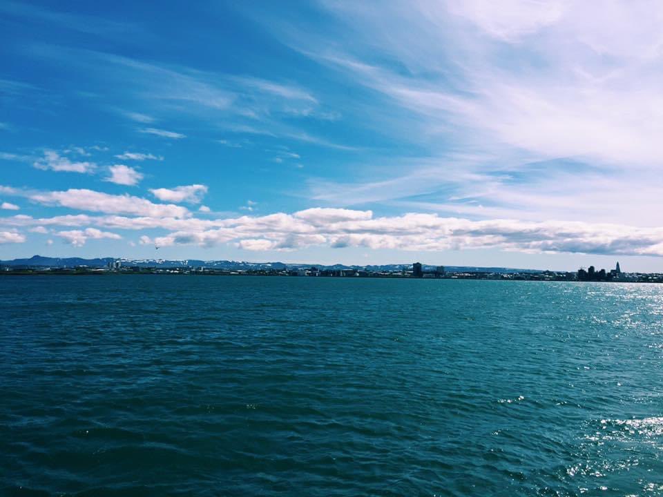 dividendsNdrip's tweet photo. More pics from my #Iceland #trip  #tripdrip 📸✈️💧🇮🇸 https://t.co/A7mKr2WR7s