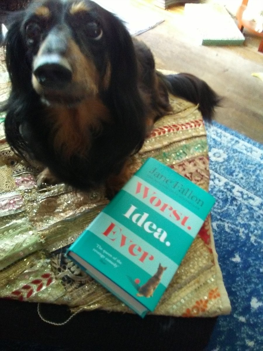 JoaniePhotos's tweet photo. @JaneFallon a new spokesdog - Joey - for #WorstIdeaEver #spokesdog #LiterateBeast #LiterateBeasties @themayhew #theMayhew #AdoptDontShop https://t.co/ng6vrFSRLT