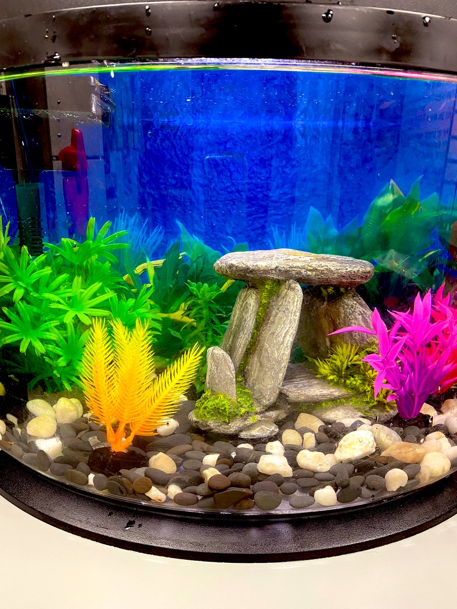 NKUs new store mascot. His name is Olaf. We wanted to incorporate team ice in the name.