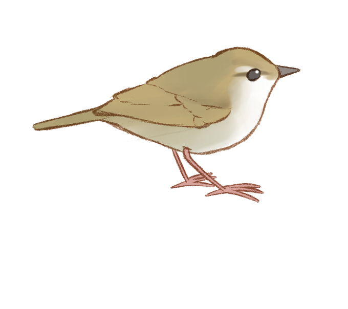 ほーほけきょのtwitterイラスト検索結果 ほーほけきょのtwitterイラスト検索結果
