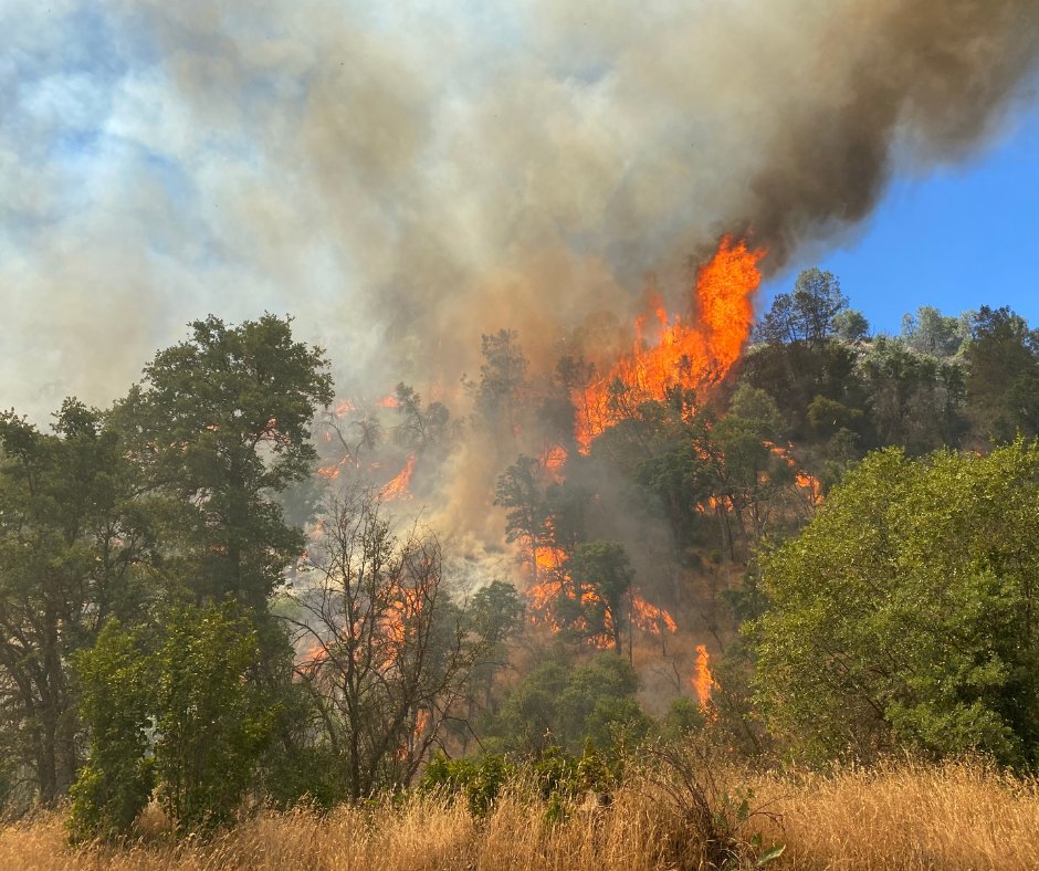 Live Oak Fire- Road Closure Yaqui Gulch Rd from Hwy 140 to Guadalupe Creek Rd. No evacuation orders.