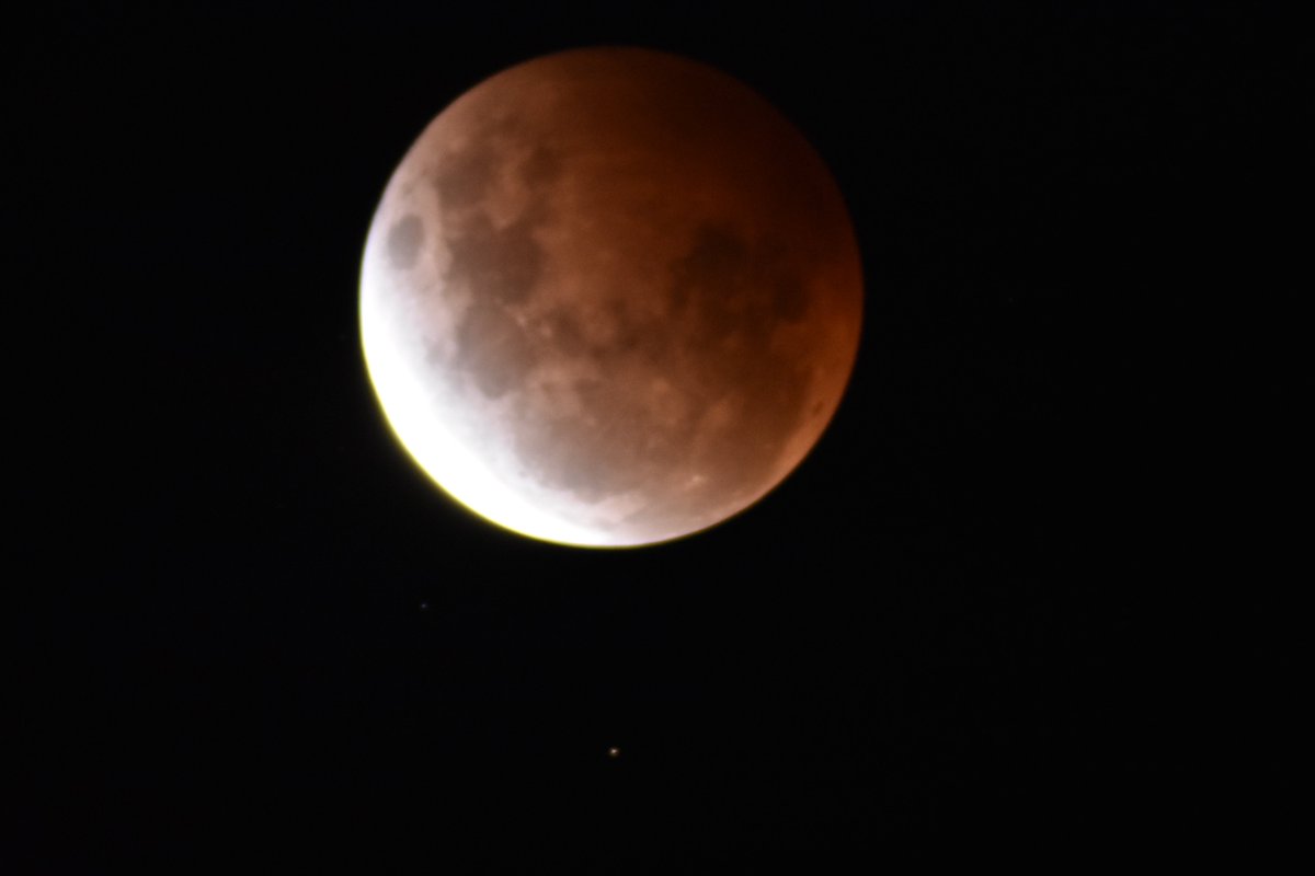 Dyskfan's tweet photo. My first attempt at astrophotography. Unguided dslr on a Saxon telescope, guessing at settings to catch the changes but overall happy as a first go.
#LunarEclipse2021 https://t.co/jwc42uPtuB