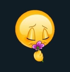 hard&soft tweet media