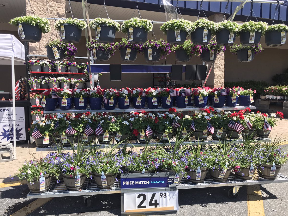 Beth Gray tweet media